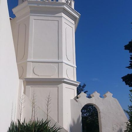 Villa-Chateau Les Terrasses - Tamaris, Plage Des Sablettes, Mer Au Bas De La Propriete La Seyne-sur-Mer Kültér fotó