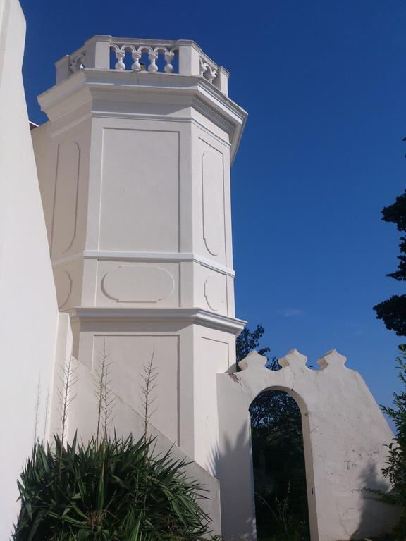 Villa-Chateau Les Terrasses - Tamaris, Plage Des Sablettes, Mer Au Bas De La Propriete La Seyne-sur-Mer Kültér fotó