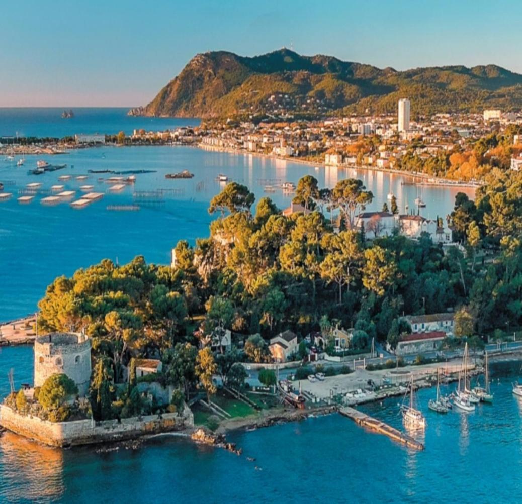 Villa-Chateau Les Terrasses - Tamaris, Plage Des Sablettes, Mer Au Bas De La Propriete La Seyne-sur-Mer Kültér fotó