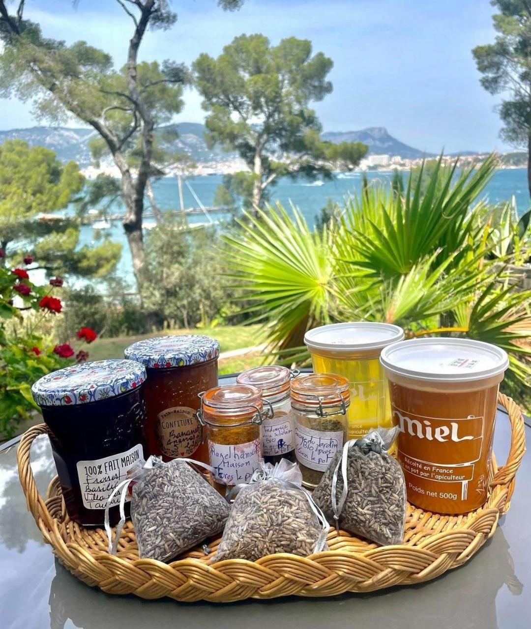 Villa-Chateau Les Terrasses - Tamaris, Plage Des Sablettes, Mer Au Bas De La Propriete La Seyne-sur-Mer Kültér fotó