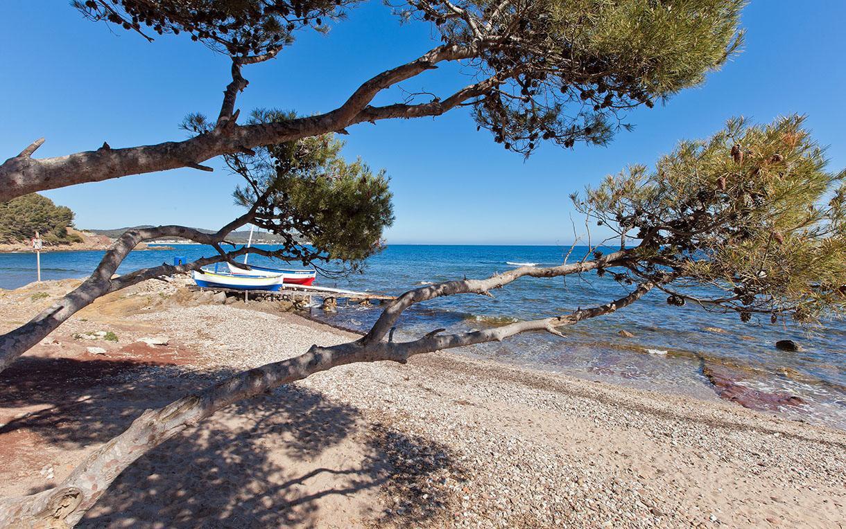 Villa-Chateau Les Terrasses - Tamaris, Plage Des Sablettes, Mer Au Bas De La Propriete La Seyne-sur-Mer Kültér fotó